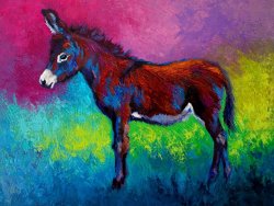 Marion Rose Little Jenny - Burro