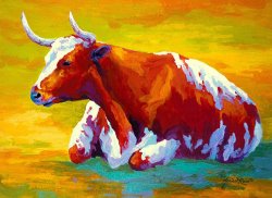Marion Rose Longhorn Cow