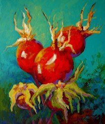 Marion Rose Rose Hips