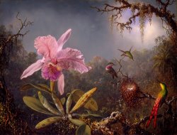 Martin Johnson Heade Cattleya Orchid And Three Hummingbirds