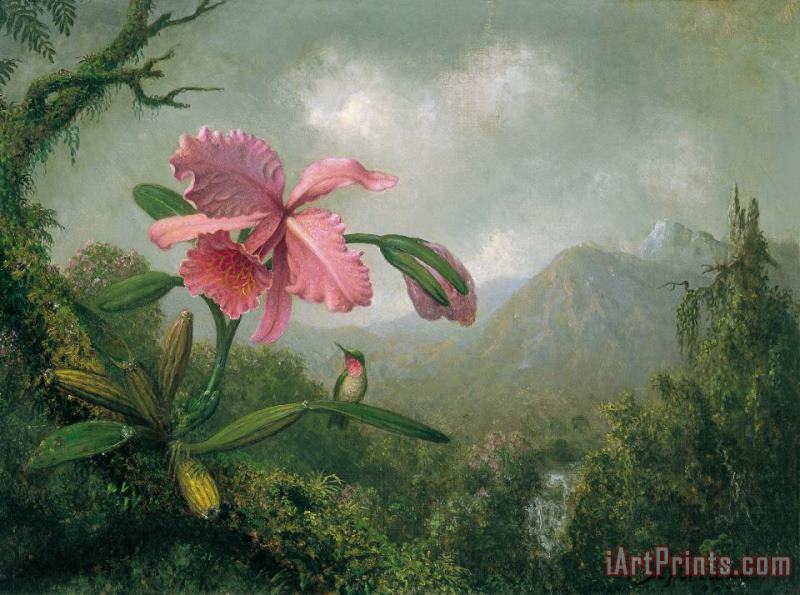 Martin Johnson Heade orchid and hummingbird near a mountain waterfall Art Print