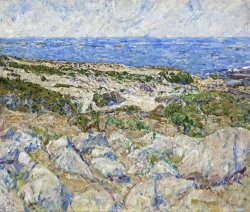 Mary Brady Sand Dunes in Monterey