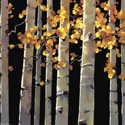 Michael O'toole Aspen Grove