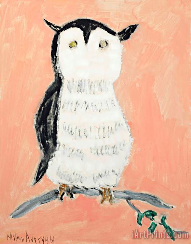 Yellow Eyed Owl, 1961 painting - Milton Avery Yellow Eyed Owl, 1961 Art Print