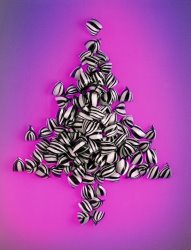 Norman Hollands Bah Humbug