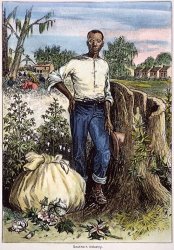 Others COTTON PLANTATION, 19th C