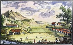 Others Haiti: Sugar Plantation