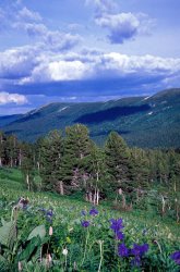 Others Kuznetsky Alatau