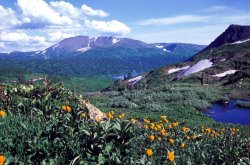 Others Kuznetsky Alatau