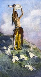 Others Remington: Buffalo, 1892