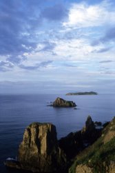 Others Russian Far East