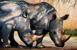 Paul Dene Marlor Rhinos in dappled shade.