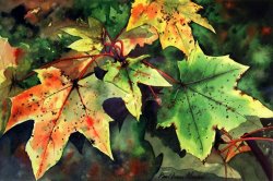 Paul Dene Marlor Sycamore Leaves