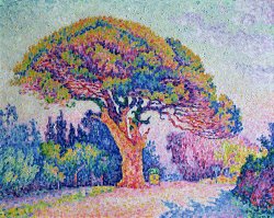 Paul Signac The Pine Tree at Saint Tropez