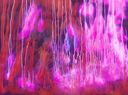 Ralph White Enlightened Spirit