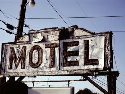 Raymond Gehman A Close View of The Trunks of Burned Lodgpole Pine Trees