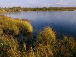 Raymond Gehman Autumn Foliage Surrounds Campbell Lake Near Inuvik