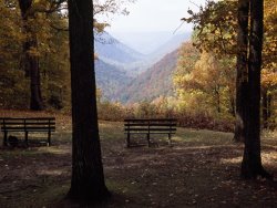 Raymond Gehman Benches Beckon Rest And Provide a Scenic View of Manns Creek Gorge