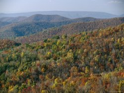 Raymond Gehman Fall Colors in Forests Along Tanners Ridge with View of Massanutten Mountain