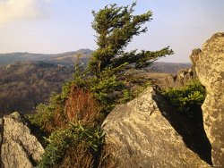 Raymond Gehman Granite Outcrop of Big Pinnacle with Mount Rogers Beyond