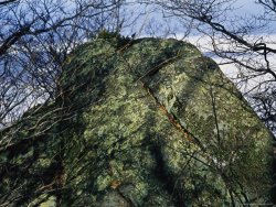 Raymond Gehman Greenstone Rock Covered with Lichens on Thunder Ridge