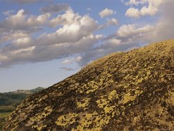 Raymond Gehman Lichen Covered Glacial Erratic Boulders