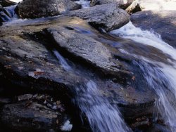 Raymond Gehman Water Cascading Over Stones in The Whitewater River