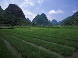 Raymond Gehman Yangdi Valley Farm Fields Guilin Guangxi China