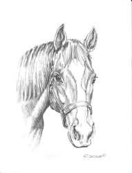 Richard De Wolfe Ziggy