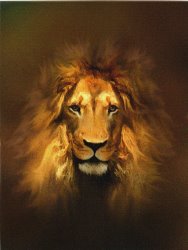 Robert Foster Golden King