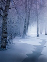 Robert Foster Snow Brook