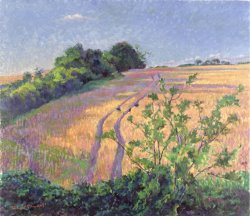 Robert Tyndall Golden Summer