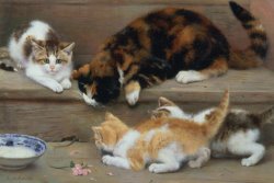 Rosa Jameson Cat and kittens chasing a mouse