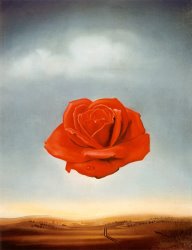 Salvador Dali Meditative Rose