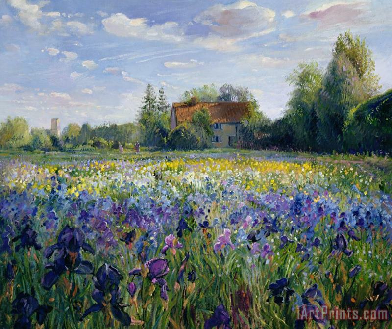 Evening at the Iris Field painting - Timothy Easton Evening at the Iris Field Art Print