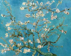 Vincent van Gogh Almond Branches In Bloom