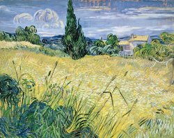 Vincent Van Gogh Landscape with Green Corn