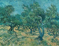 Vincent van Gogh The Olive Grove