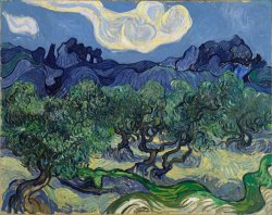 Vincent van Gogh The Olive Trees