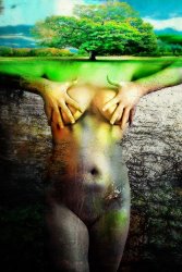 Zygmunt Kozimor Summer