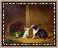 Framed Print Framed Print