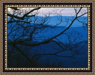 Framed Print Framed Print