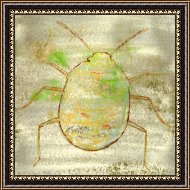 Framed Print Framed Print