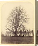 Stretched Canvas Print Stretched Canvas Print