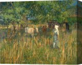 Stretched Canvas Print Stretched Canvas Print